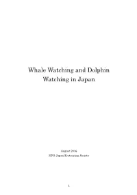 Whale Watching and Dolphin Watching in Japan