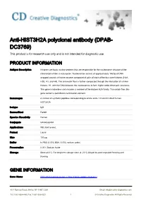 Anti-HIST3H2A Polyclonal Antibody (DPAB- DC3769) This Product Is for Research Use Only and Is Not Intended for Diagnostic Use