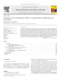 Functions for the Cardiomyokine, MANF, in Cardioprotection, Hypertrophy and Heart Failure