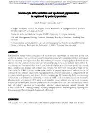 Melanocyte Differentiation and Epidermal Pigmentation Is Regulated by Polarity Proteins