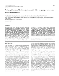 Sonic Hedgehog a Neural Tube Anti-Apoptotic Factor 4013 Other Side of the Neural Plate, Remaining in Contact with Midline Cells, RESULTS Was Used As a Control