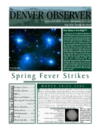 Spring Fever Strikes