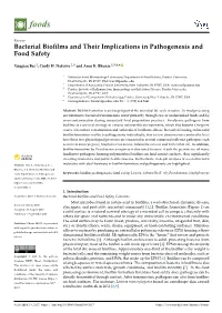 Bacterial Biofilms and Their Implications in Pathogenesis And
