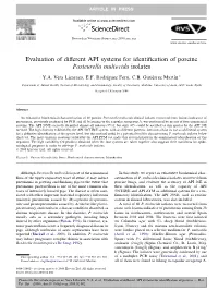 Evaluation of Different API Systems for Identification of Porcine Pasteurella Multocida Isolates
