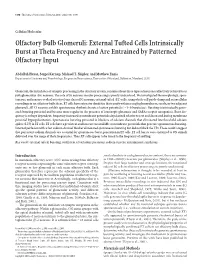 Olfactory Bulb Glomeruli: External Tufted Cells Intrinsically Burst at Theta Frequency and Are Entrained by Patterned Olfactory Input