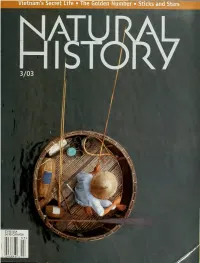 AMNH Digital Library