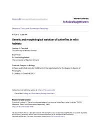 Genetic and Morphological Variation of Butterflies in Relict Habitats