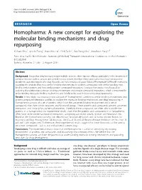 Homopharma: a New Concept for Exploring the Molecular Binding