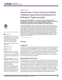 Identification of Novel Chemical Scaffolds Inhibiting Trypanothione Synthetase from Pathogenic Trypanosomatids