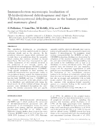 Immunoelectron Microscopic Localization of 3Β-Hydroxysteroid Dehydrogenase and Type 5 17Β-Hydroxysteroid Dehydrogenase In