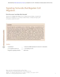 Signaling Networks That Regulate Cell Migration