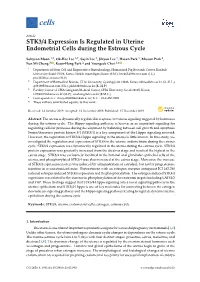 STK3/4 Expression Is Regulated in Uterine Endometrial Cells During the Estrous Cycle