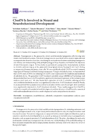 C3orf70 Is Involved in Neural and Neurobehavioral Development