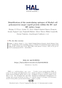Identification of the Neutralizing Epitopes of Merkel Cell Polyomavirus Major Capsid Protein Within the BC and EF Surface Loops Maxime J J Fleury, Jérôme T.J