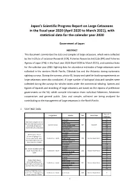 Japan's Scientific Progress Report on Large Cetaceans in the Fiscal Year