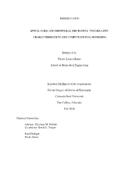 Dissertation Spinal Cord and Meningeal Mechanics