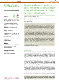 Naturalizing Pollution: a Critical Social Science View on the Link Between