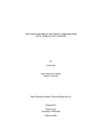 Phytolith Analysis of Feature Fill Samples from the El Dornajo Site, Ecuador