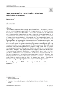 Superorganisms of the Protist Kingdom: a New Level of Biological Organization