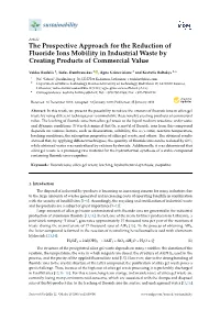 The Prospective Approach for the Reduction of Fluoride Ions Mobility in Industrial Waste by Creating Products of Commercial Value
