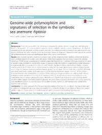 Genome-Wide Polymorphism and Signatures of Selection in the Symbiotic Sea Anemone Aiptasia Emily S