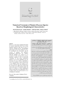 Numerical Taxonomy of Phalaris (Poaceae) Species Based on Morphological Characteristics