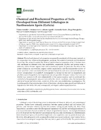 Chemical and Biochemical Properties of Soils Developed from Different Lithologies in Northwestern Spain (Galicia)