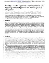 Haplotype-Resolved Genome Assembly Enables Gene