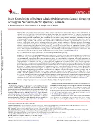Inuit Knowledge of Beluga Whale (Delphinapterus Leucas) Foraging Ecology in Nunavik (Arctic Quebec), Canada K