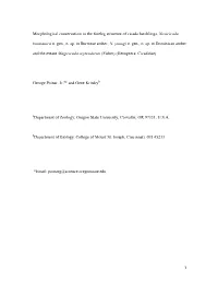 Morphological Conservatism in the Foreleg Structure of Cicada Hatchlings, Novicicada Burmanica N