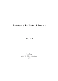 Perception, Perfusion & Posture