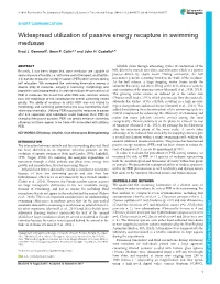 Widespread Utilization of Passive Energy Recapture in Swimming Medusae Brad J