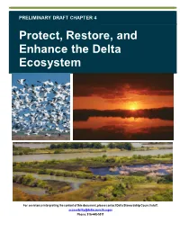 Chapter 4: Protect, Restore, and Enhance the Delta Ecosystem