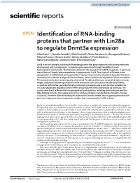 Identification of RNA-Binding Proteins That Partner with Lin28a to Regulate