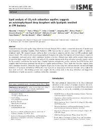 Lipid Analysis of CO2-Rich Subsurface Aquifers Suggests an Autotrophy-Based Deep Biosphere with Lysolipids Enriched in CPR Bacteria