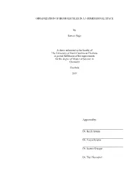 ORGANIZATION of BIOMOLECULES in a 3-DIMENSIONAL SPACE by Sameer Sajja a Thesis Submitted to the Faculty of the University Of