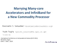 Marrying Many-Core Accelerators and Infiniband for a New Commodity Processor