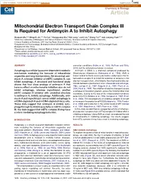 Mitochondrial Electron Transport Chain Complex III Is Required for Antimycin a to Inhibit Autophagy