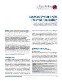 Mechanisms of Theta Plasmid Replication