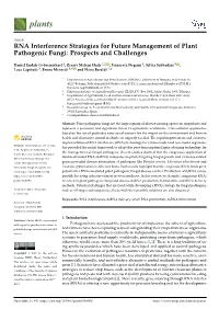 RNA Interference Strategies for Future Management of Plant Pathogenic Fungi: Prospects and Challenges