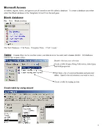 Microsoft Access Blank Database