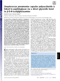 Streptococcus Pneumoniae Capsular Polysaccharide Is Linked to Peptidoglycan Via a Direct Glycosidic Bond to Β-D-N-Acetylglucosamine