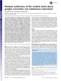 Network Architecture of the Cerebral Nuclei (Basal Ganglia) Association and Commissural Connectome