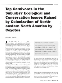 Top Carnivores in the Suburbs? Ecological And