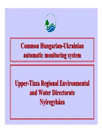 Common Hungarian-Ukrainian Automatic Monitoring System Upper