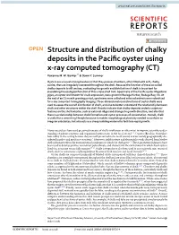 Structure and Distribution of Chalky Deposits in the Pacific Oyster Using