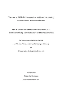 The Role of SAMHD1 in Restriction and Immune Sensing of Retroviruses and Retroelements