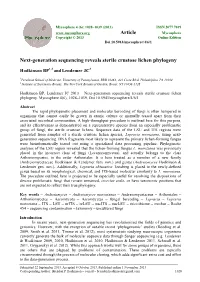 Next-Generation Sequencing Reveals Sterile Crustose Lichen Phylogeny