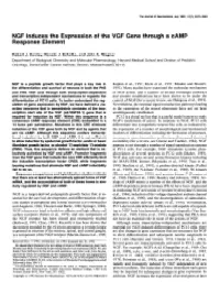 NGF Induces the Expression of the VGF Gene Through a CAMP Response Element
