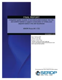 Final Report